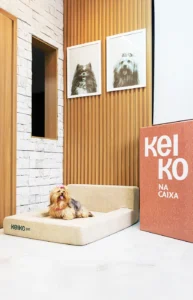 Cama Pet Keiko 100% em espuma, com bordas elevadas e base antiderrapante, em ambiente doméstico aconchegante